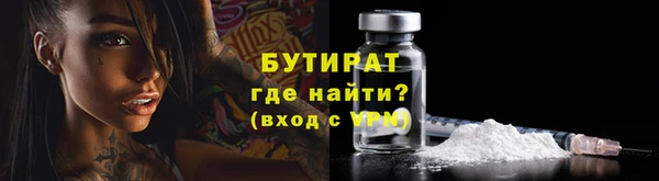 шишки Аркадак