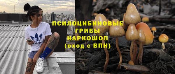 PSILOCYBIN Баксан
